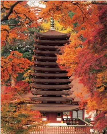 個人では行きにくい！奈良大和路4つの紅葉めぐり