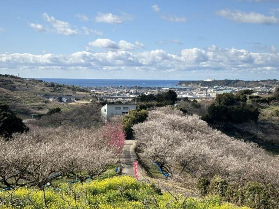 梅香る紀州の饗宴！